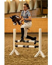 Hobby Horse - Skewbald