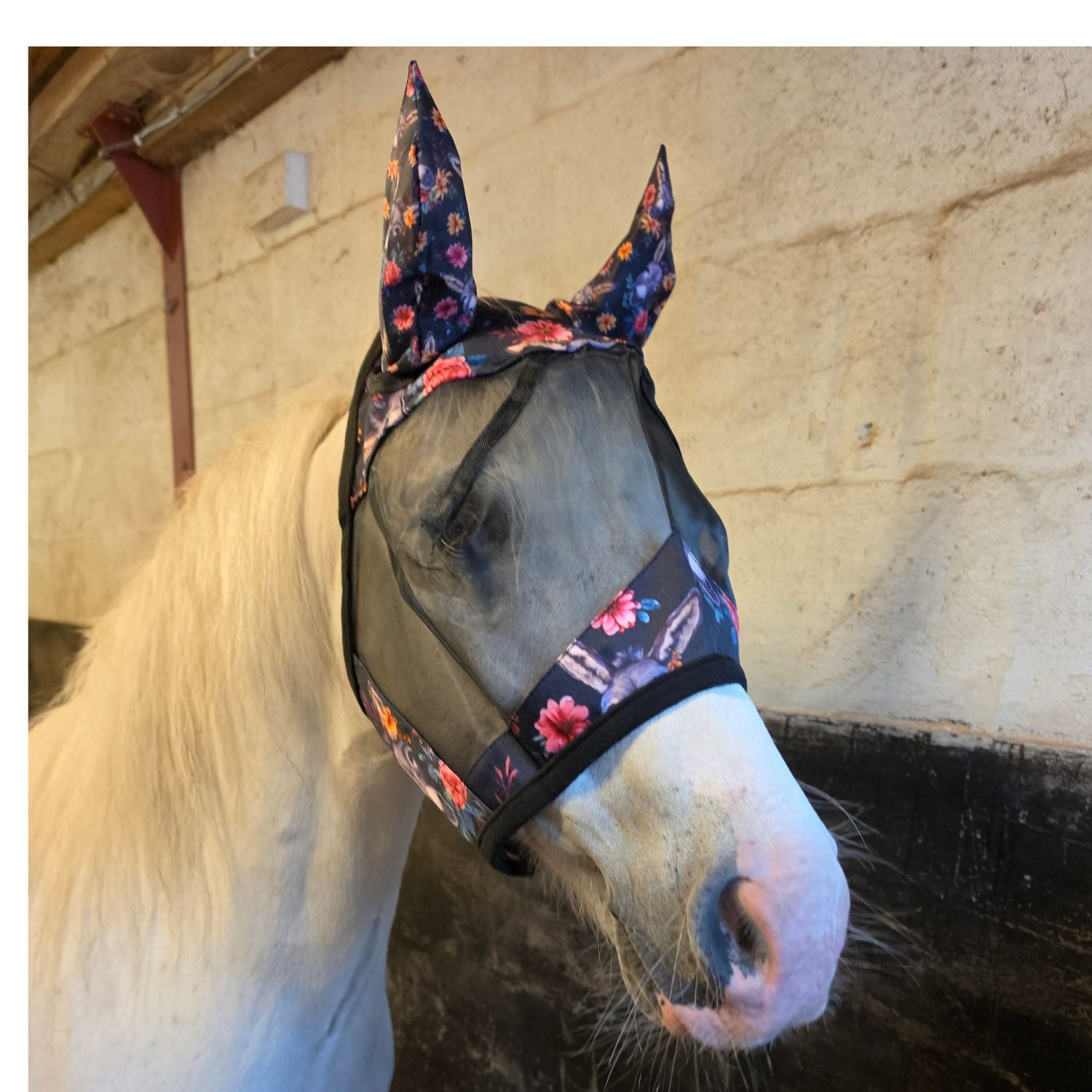 Funky-Fit-Donkey-Fly-Masks.jpg