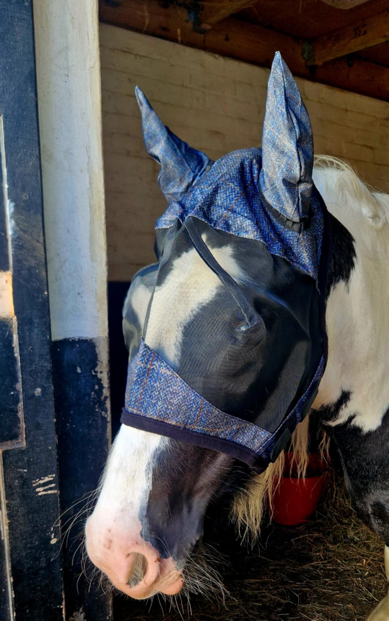 Hereford Plaid Fly Masks