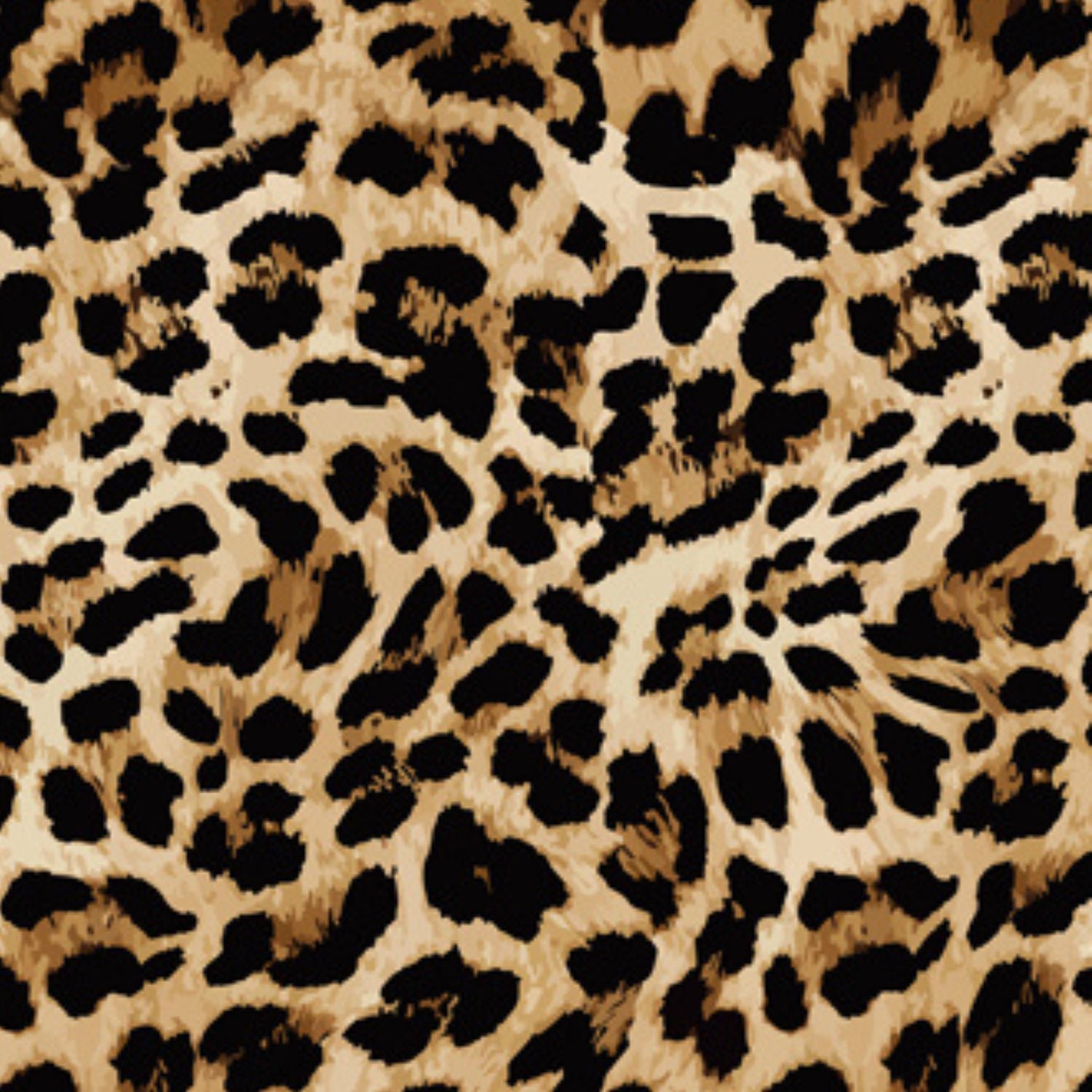 Funky Fit  Loose Fit Shorts - Leopard