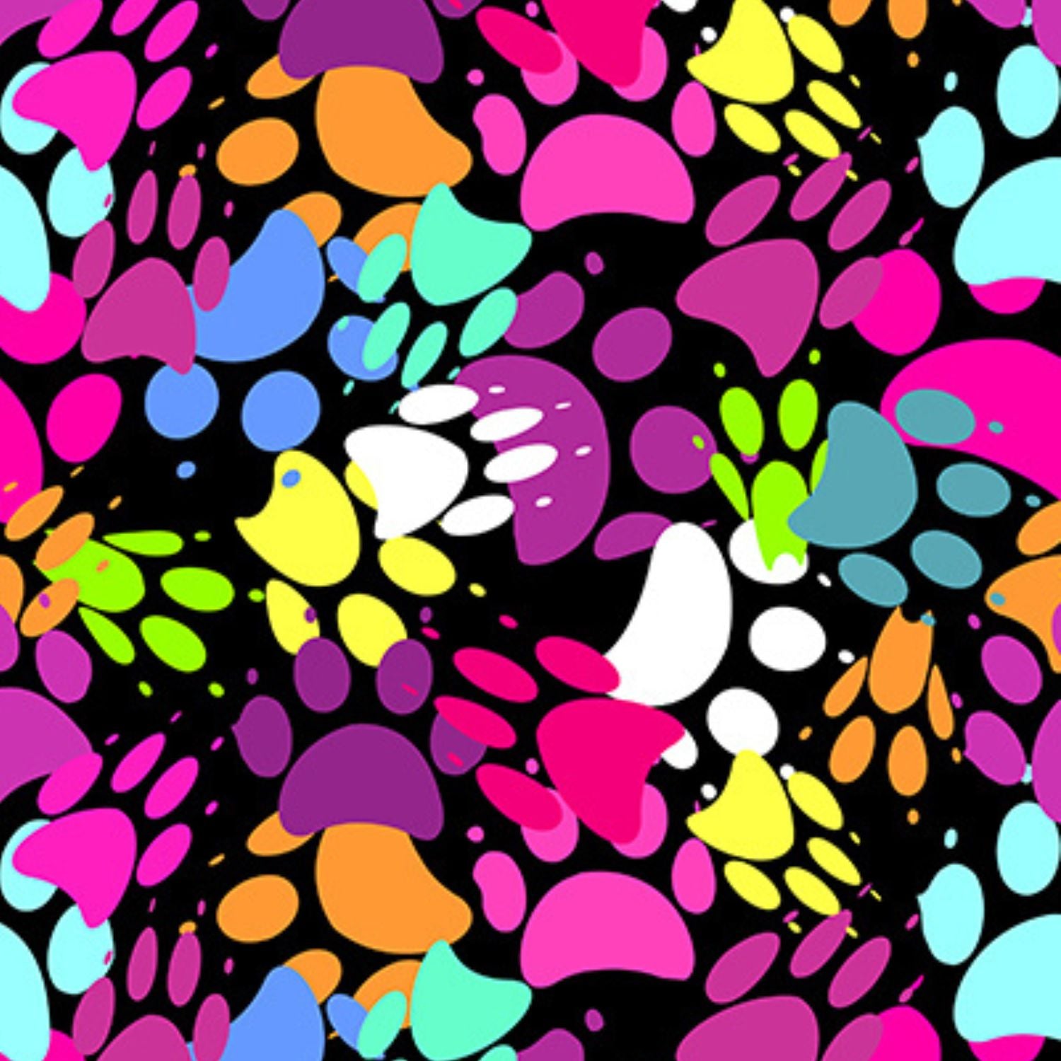 Funky-Fit-Sculpt-Yoga-Biker-Shorts- Rainbow-Paws-Mashup.jpg