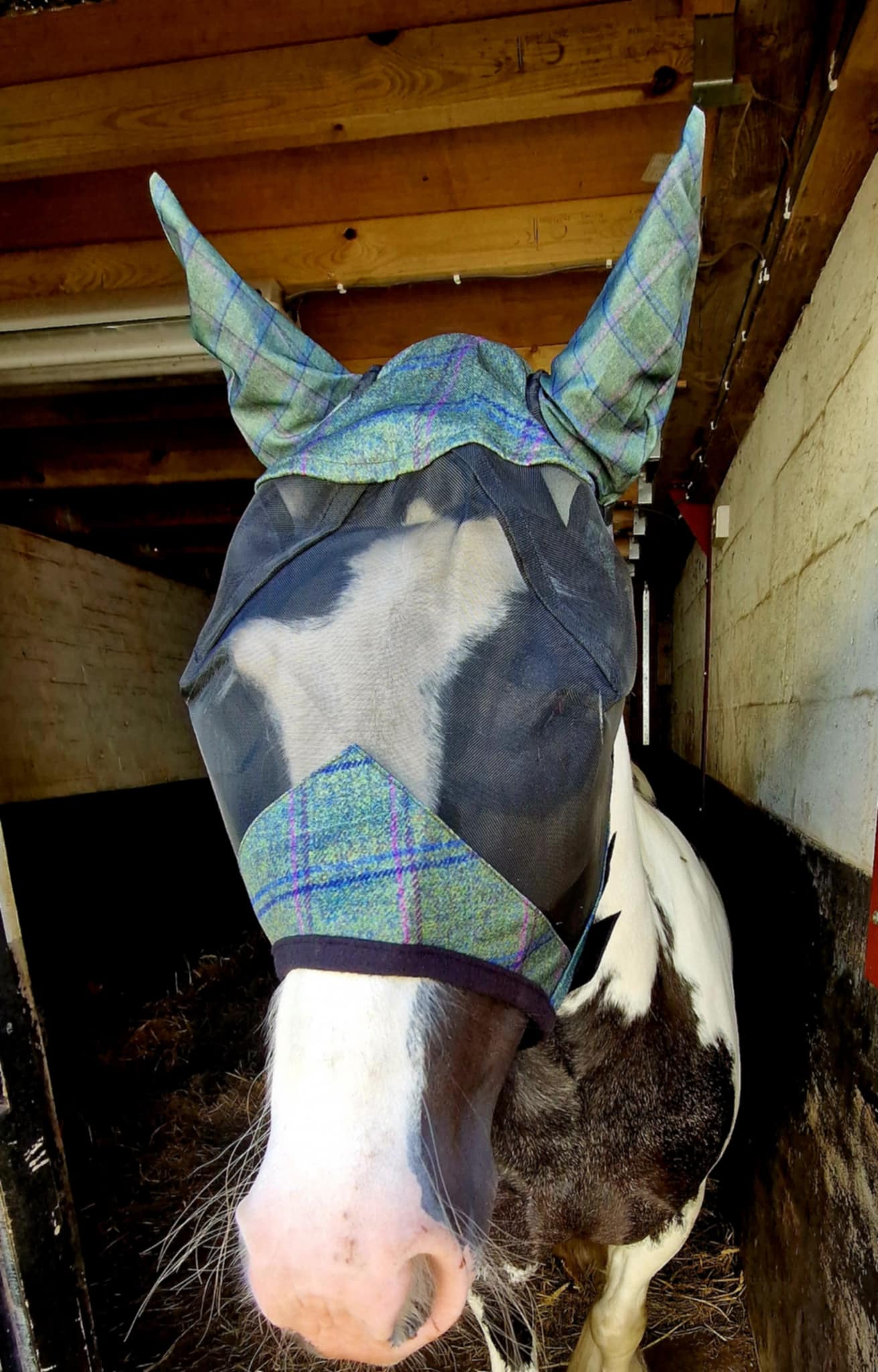 Funky Fit Cotswold Tweed Fly Masks