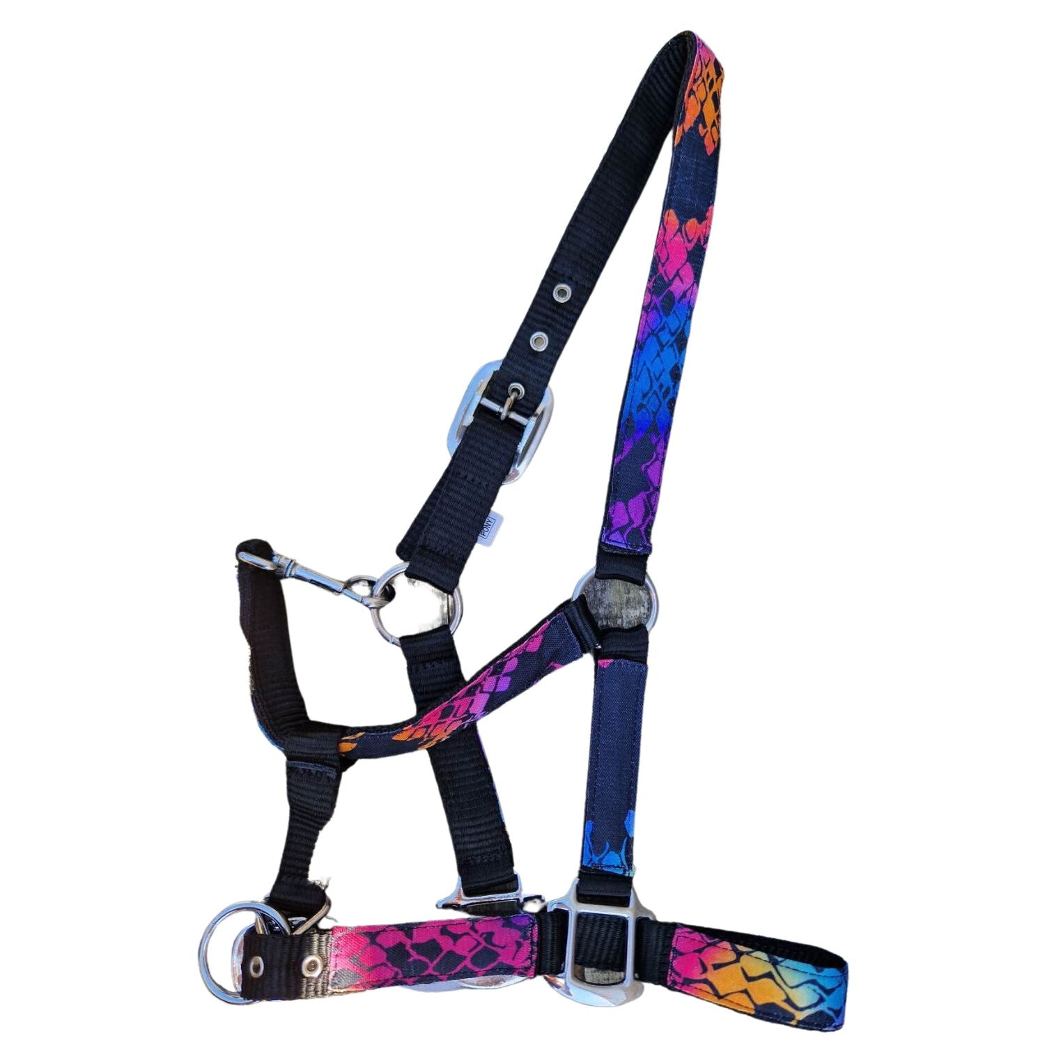 Funky Fit Neon Snake Head Collar