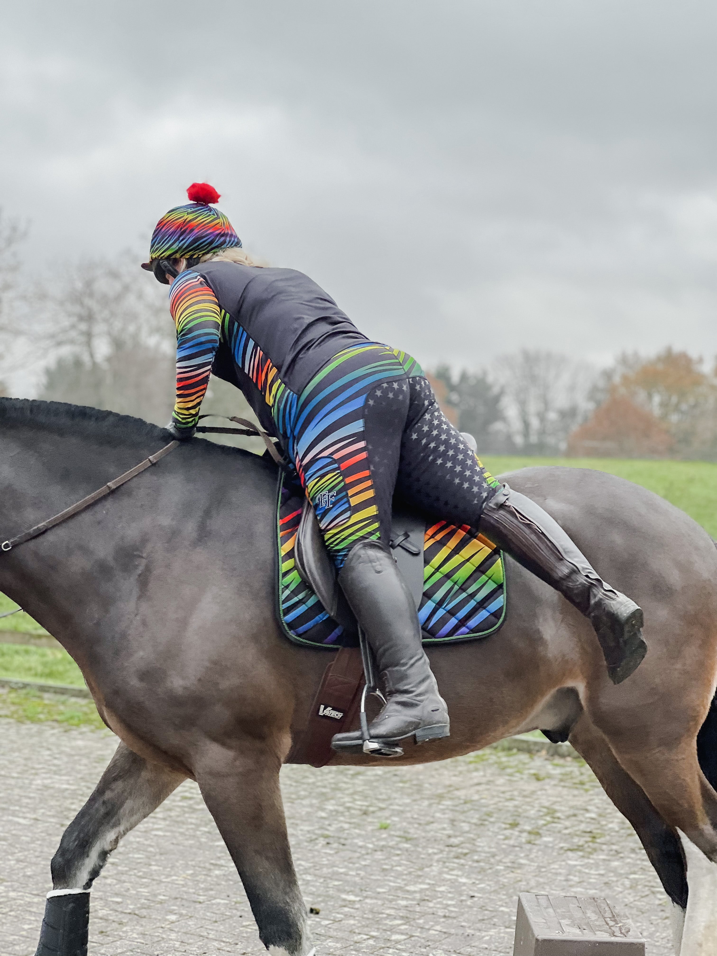 Funky Fit Rainbow Zebra Jodhpurs