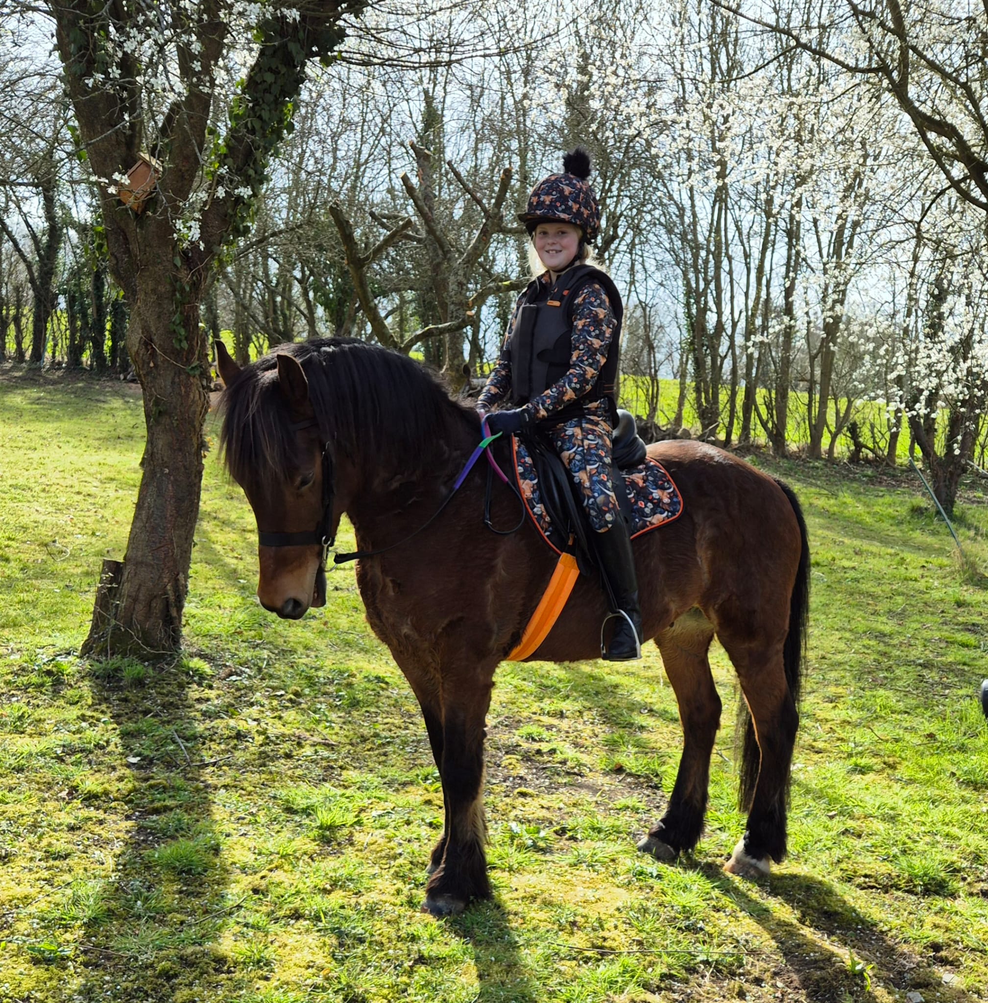 Highland Cows - Jodhpurs - Kids