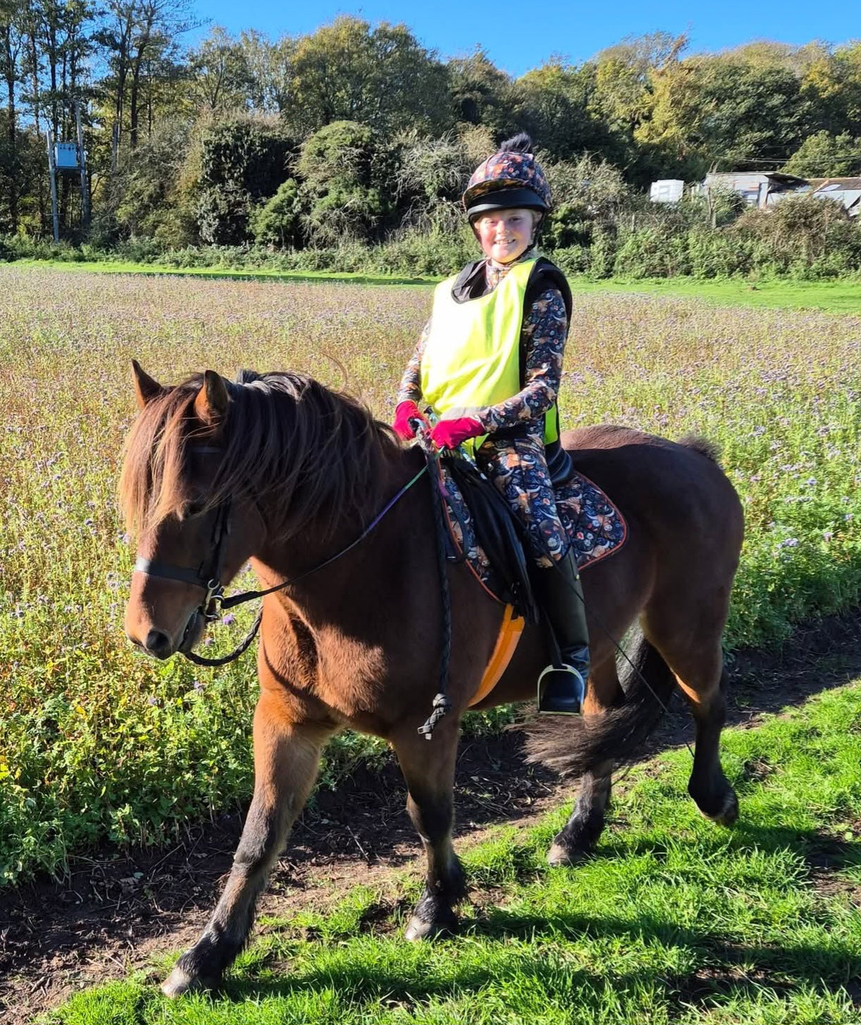 Highland Cows - Jodhpurs - Kids