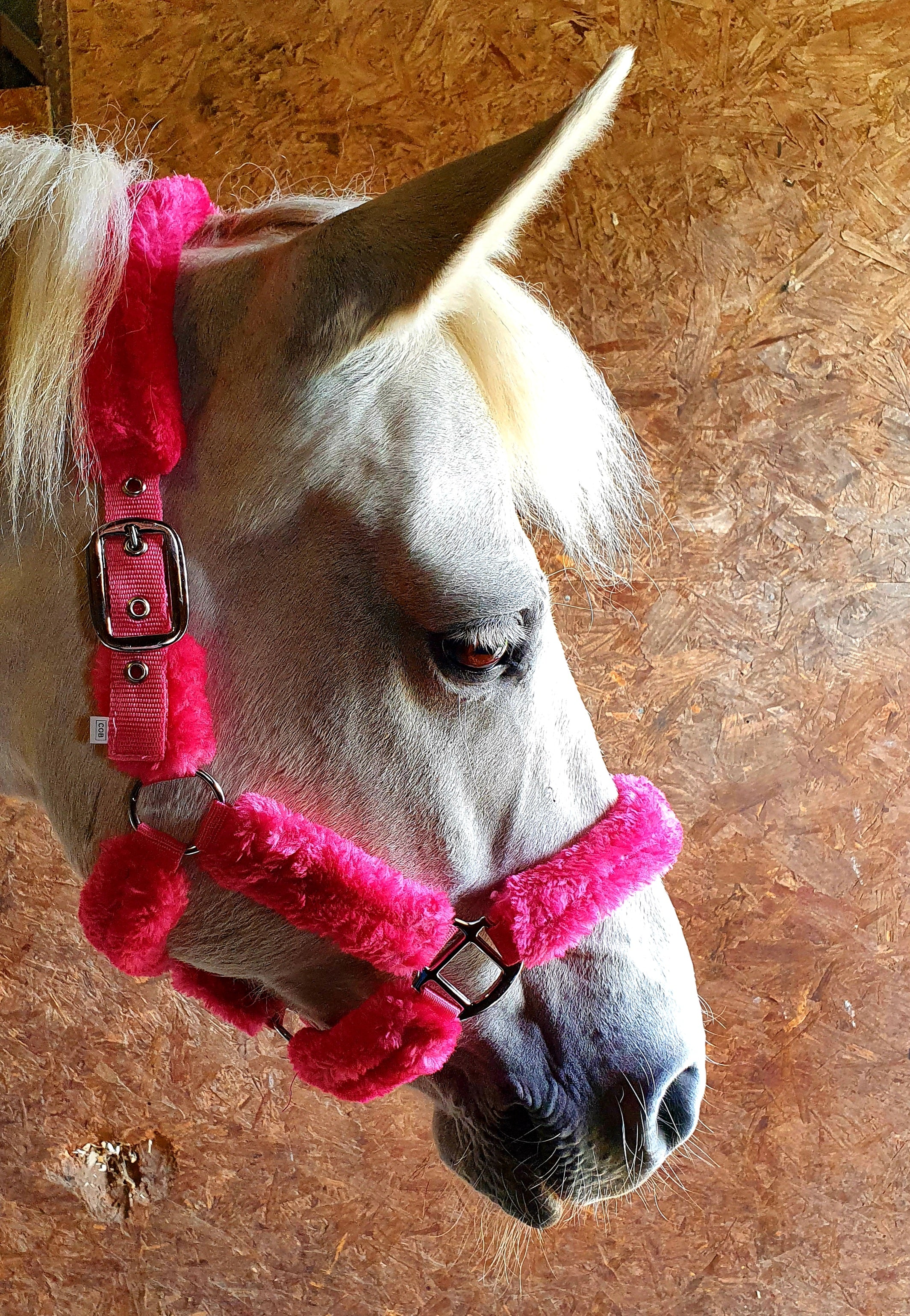 Hot Pink Fluffy Head Collar