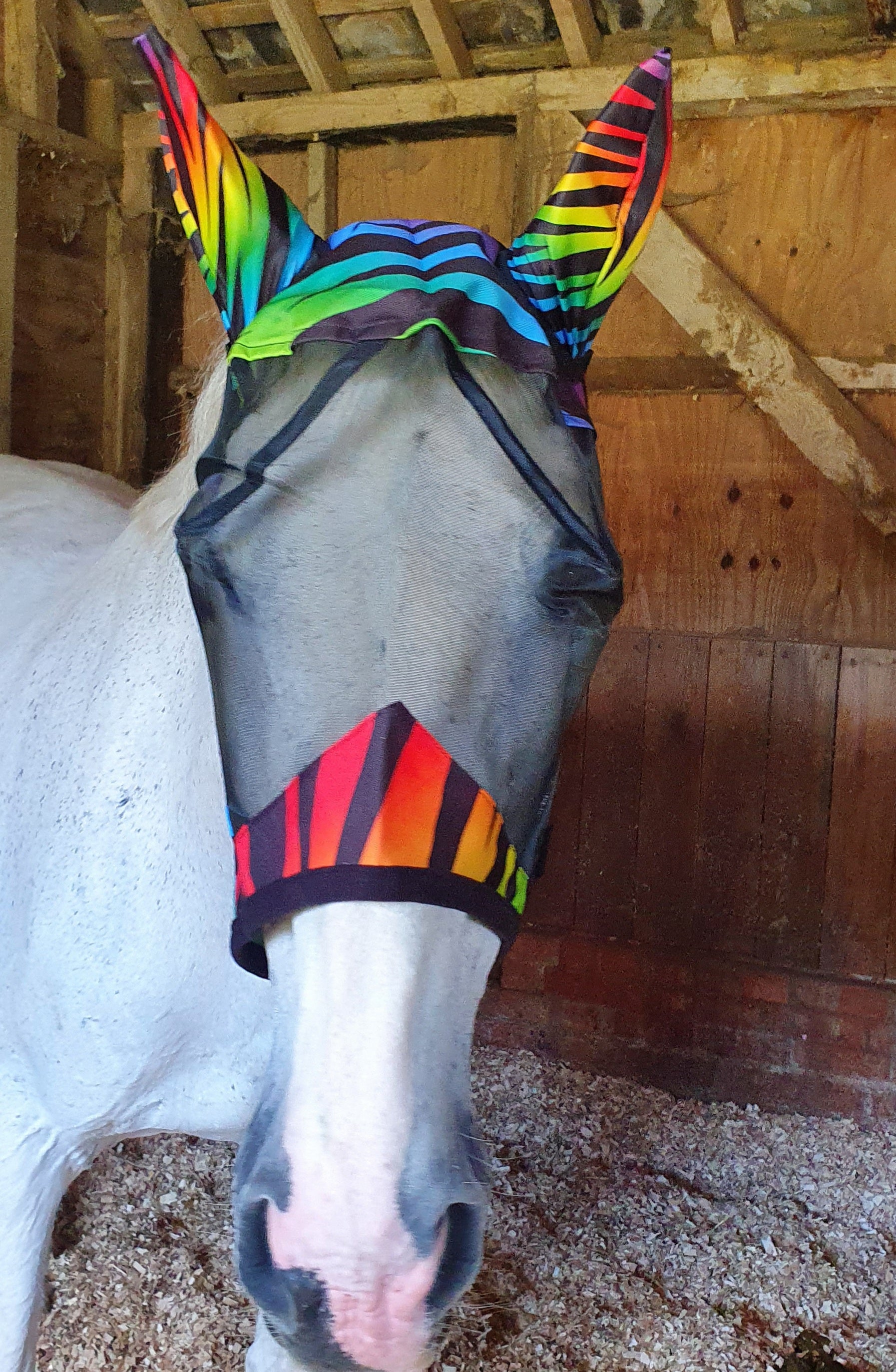 Rainbow Zebra Fly Masks