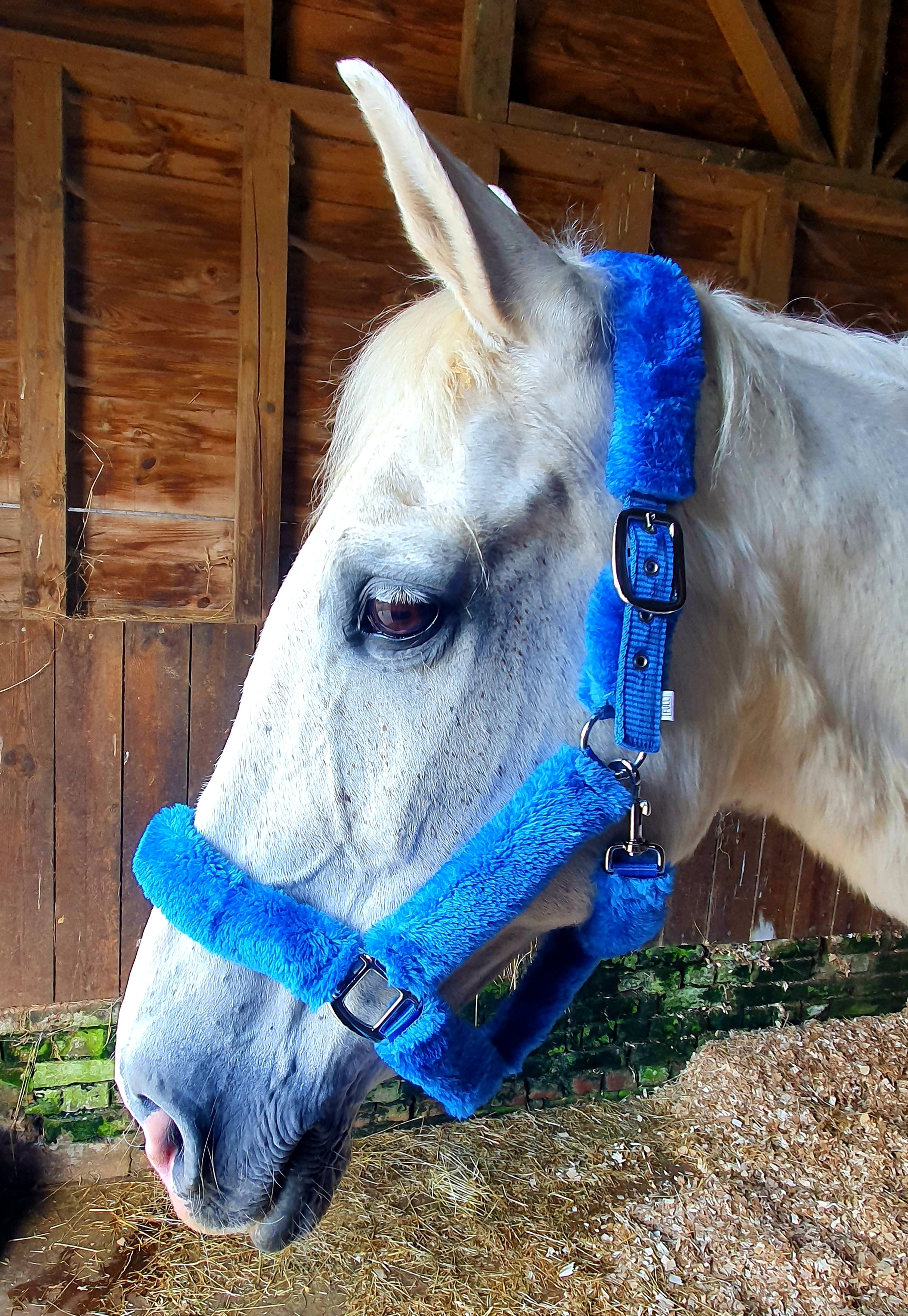 Sea Blue Fluffy Head Collar