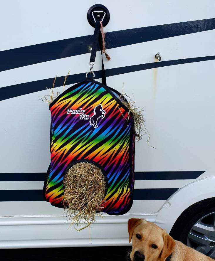 Rainbow Zebra Haybags
