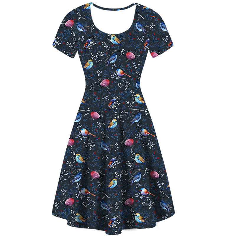 Funky Fit Vintage Skater Dress Winter Birds