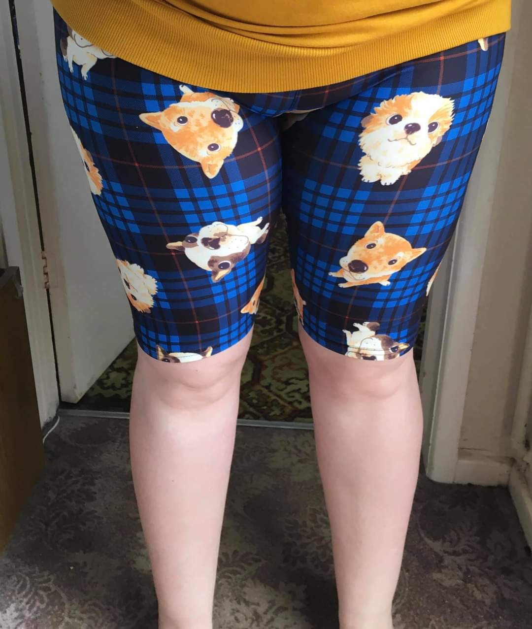 Funky Fit 24/7 Biker Shorts - Dogs In Tartan