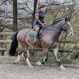 Funky Fit Rainbow Zebra Jodhpurs