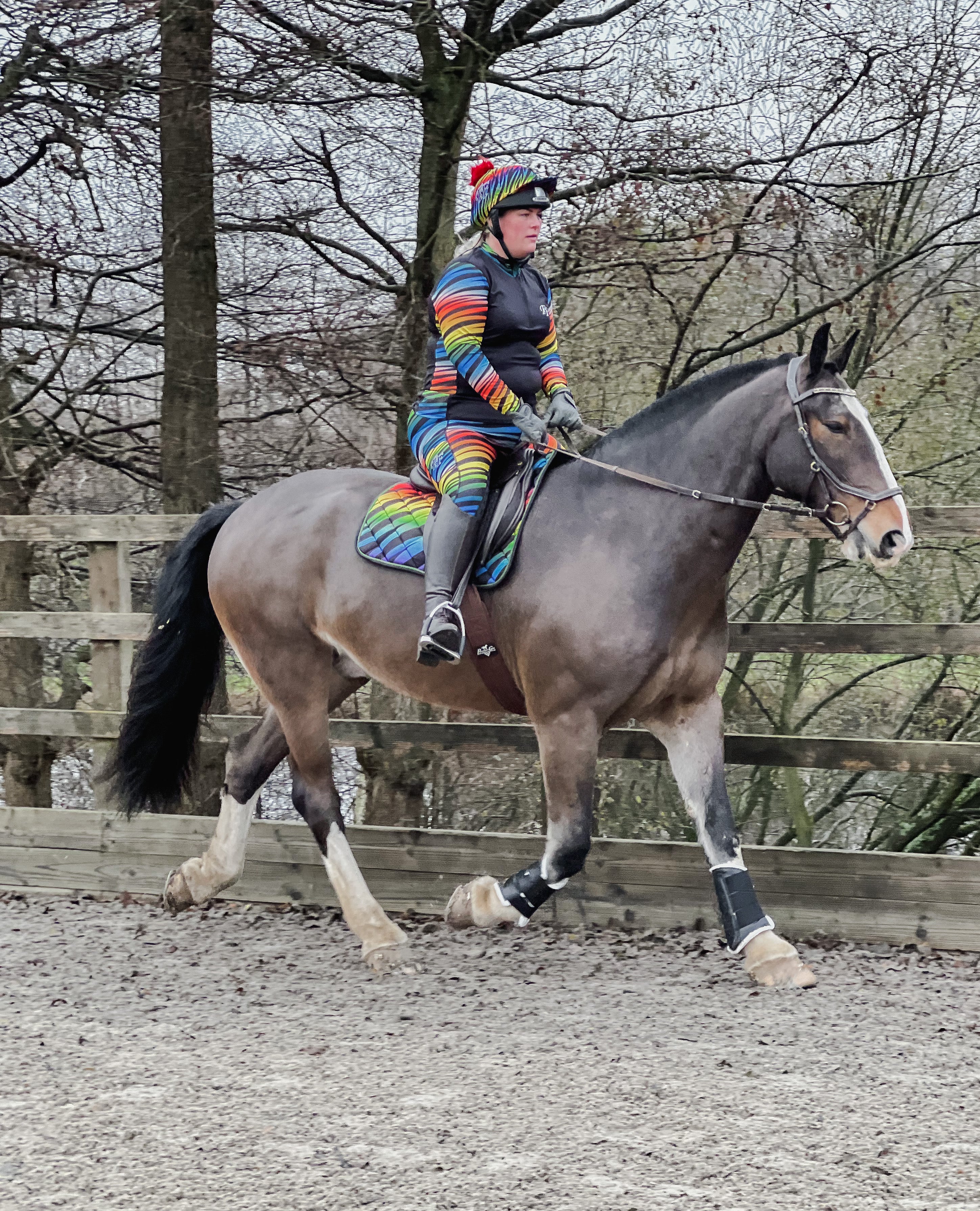 Funky Fit Rainbow Zebra Jodhpurs